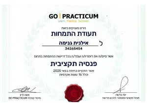 תעודת התמחות של Go Practicum אילנית גנימה